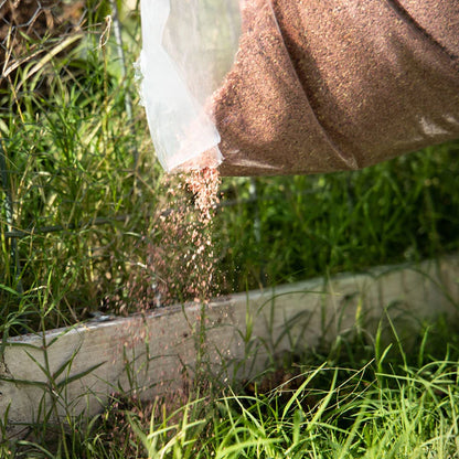 Cedar Wood Granules